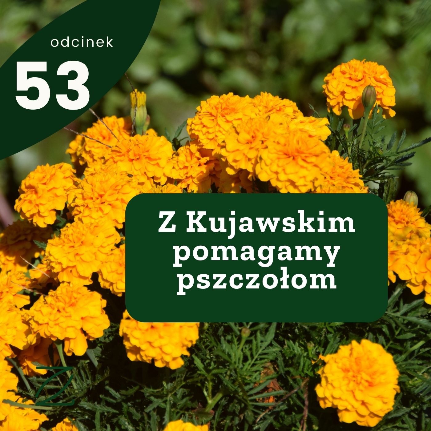 JZ_53_ogród społeczny