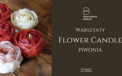 Flower candles -piwonia
